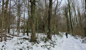 Trail Walking Gulpen-Wittem - Epen ❄️⛄️- Vijlenerbos  - Elzetterbos  - Photo 8