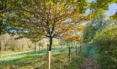 Trail Walking Aubel - Abbaye du Val-Dieu  - Photo 4