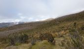 Excursión Senderismo San Andrés - trek Equateur jour 2 - Photo 10