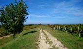 Trail Walking Montsoreau - Montsoreau - GR3 Turquant Parnay Souzay - 15km 185m 3h30 - 2023 10 01 - Photo 7
