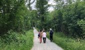 Tour Zu Fuß Unbekannt - Rundweg A2 (Schellenberger Wald) - Photo 4