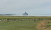 Randonnée Marche Huisnes-sur-Mer - Huisnes-sur-Mer - vue Mont-St-Michel - Pointe de Roche Torin - 14km 75m 4h30 (45mn) - 2017 06 26 - Photo 19