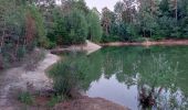 Tocht Stappen Libin - Sentier des Nutons - Smuid - Parc enchanté du Kaolin - Photo 12