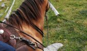 Trail Horseback riding Plainfaing - Acpl plainfaing le groube  - Photo 4