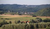 Tour Zu Fuß Marburg - [W4] Ortsrundweg Weiershausen - Allna - Weiershausen - Photo 3