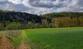 Tour Wandern Dinant - Leffe - Photo 4