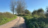 Tocht Stappen Dendermonde - Dendermonde Kastel 17,8 km - Photo 10