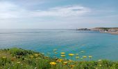 Excursión Marcha nórdica Le Conquet - au sud du Conquet - Photo 2