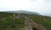 Tocht Te voet West Cork - Poet's Way - Photo 1