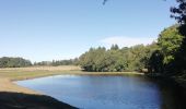 Trail Walking Saint-Mathieu - mardi matin - Photo 2