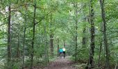 Trail Walking Ferrières - Logne (Vieuxville) - Izier - Ferrières - My - Photo 10