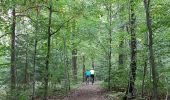 Tour Wandern Ferrières - Logne (Vieuxville) - Izier - Ferrières - My - Photo 10