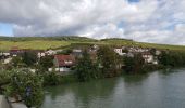 Tour Wandern Germaine - RP51-02 Les Haies à Mardeuil - Photo 15