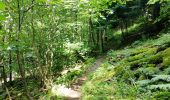 Trail Walking Kruth - Autour du lac de Kruth-Wildenstein - Photo 8