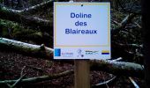 Tour Wandern Braillans - BRAILLANS Forêt de MARCHAUX - Photo 6