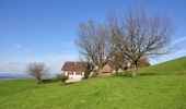 Tour Zu Fuß Einsiedeln - Egg - Büel - Photo 5