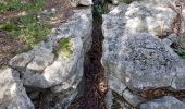 Randonnée Marche Minerve - Les dolmens de Vieulac - Photo 5
