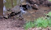 Excursión Senderismo Limbourg - Limbourg ( promenade dans les bois) - Photo 6