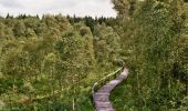 Tour Zu Fuß Holzminden - LLR - Hochmoor - Photo 10