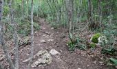 Trail On foot Nago-Torbole - IT-O637 - Photo 5