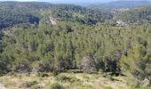 Trail Walking Aix-en-Provence - 13-bibemus_barrages_zola&bimont_10km270m - Photo 15