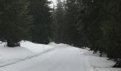 Trail Snowshoes Morzine - Avoriaz-Zorre-Avoriaz-10km-2h30 - Photo 3