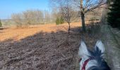 Trail Horseback riding Habay - Marbehan côté Thibessart - Photo 6