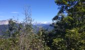 Trail Walking Annecy - Belvédère mont Baron - Photo 6