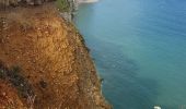 Randonnée Marche Yport - Yport - Benouvile par le chemin des falaises - Photo 10