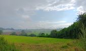 Trail Walking Herve - bolland . favechamps . la vaux . melen . bolland  - Photo 7