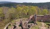 Excursión Senderismo Wangenbourg-Engenthal - Le donjon du Wangenbourg - Photo 17