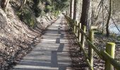 Trail Walking Rochefort - Lomme-Lesse: Rochefort-Ciergnon - Photo 1