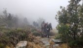 Trail Walking Aizac - Aizac-Sommet de Rouyon-La bastide sur Bésorgue - Photo 1