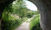 Randonnée Marche Court-Saint-Étienne - Dans le bois Sainte Catherine... - Photo 3