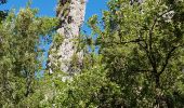 Trail Walking Signes - siou Blanc- Aiguille de Valbelle - Photo 2