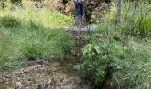 Tour Wandern Chalmazel-Jeansagnière - Au dessus de Chalmazel  - Photo 6