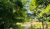 Trail Walking Sint-Truiden - La reserve naturelle Op d’Hei à Runkelen - Photo 7
