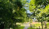 Tocht Stappen Sint-Truiden - La reserve naturelle Op d’Hei à Runkelen - Photo 7