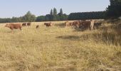 Trail Walking Chenonceaux - Chenonceaux - Photo 11