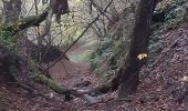 Trail Walking Theux - becco . bois renard . forestia le goulag des animaux . jevoumont . heid de fer . becco  - Photo 2