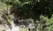 Trail Walking Die - Col de Bergu  - Photo 11