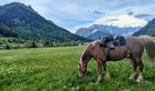 Trail Horseback riding Valbonnais - 2025-05-31 Rando CVA Valbonnais vers La Morte - Photo 2