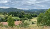 Tocht Wegfiets Aiguilhe - Voie verte au Puy en Velay - Photo 10