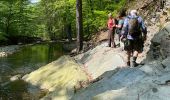 Tour Wandern Eupen - Ternell -Eupen - Photo 10