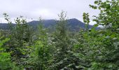 Tour Wandern Aydat - Puy de Vichatel depuis la Garandie - Photo 14