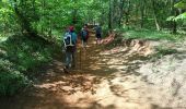 Tocht Stappen Rustrel - tour du Colorado Provencal-10-05-23 - Photo 4