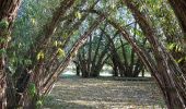 Tour Zu Fuß Märkische Heide - Wanderweg Schlepzig-Dürrenhofe - Photo 10