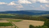 Tour Zu Fuß Beuren (Hochwald) - Hinzert-Pölert 1 - Photo 9