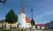 Tocht Te voet Schenkenfelden - Märchenwanderweg - Photo 1