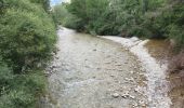 Trail Mountain bike Thorame-Basse - Col de Seoune Lambruisse - Photo 4